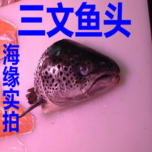新鲜三文鱼头1.3-2斤/个冰鲜鱼头烧烤清蒸剁椒大鱼头海鱼大连海鲜