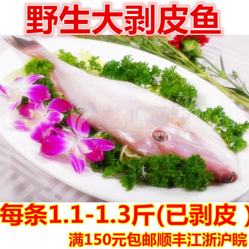新鲜整条扒皮鱼马面鱼剥皮鱼