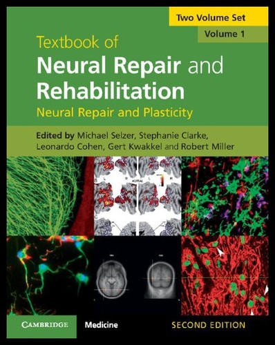 美国库房发货，通常付款后5-8周到货！