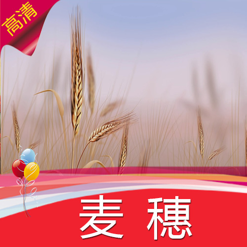 【麦穗】高清LED视频素材/节目表演舞蹈/舞台背景制作