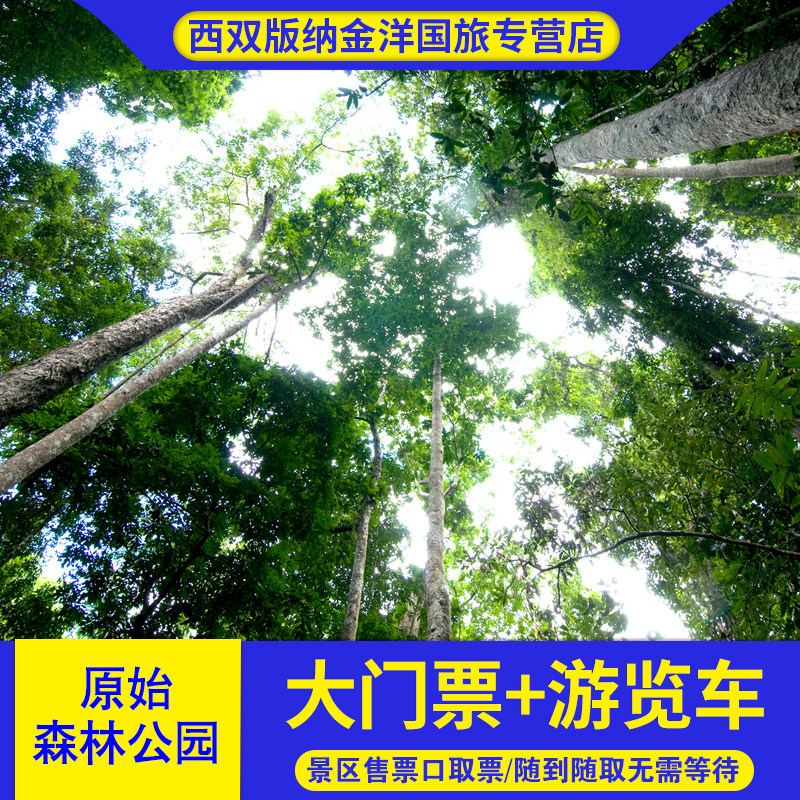 [西双版纳原始森林公园-大门票 游览车]门票 往返电瓶车