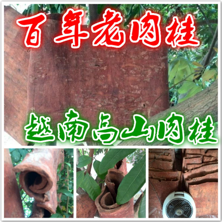 肉桂越南百年肉桂 高山油桂肉桂心百年树龄紫油桂清化桂250克包邮