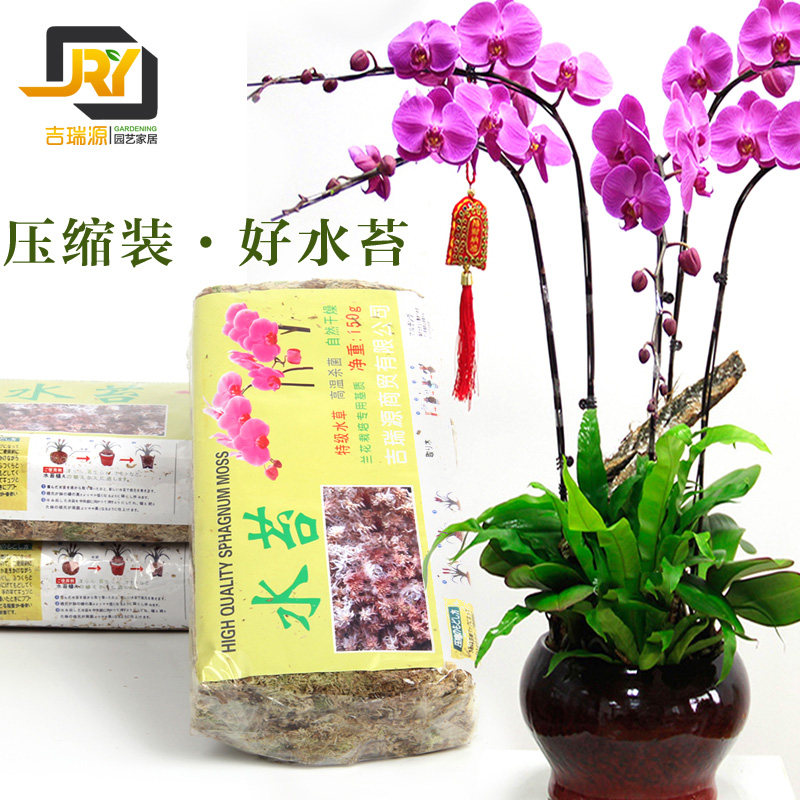 蝴蝶兰专用介质干苔藓水苔营养土压缩干苔藓保湿基质土150g花土