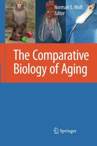 美国库房发货,通常付款后5-8周到货！