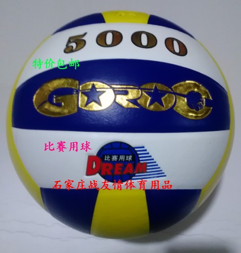 Ballon de volley - Ref 2008471 Image 1