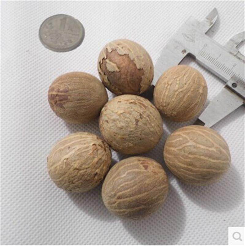 白玉菩提根原籽原料菩提子白根风化根单颗论斤包邮佛珠手串