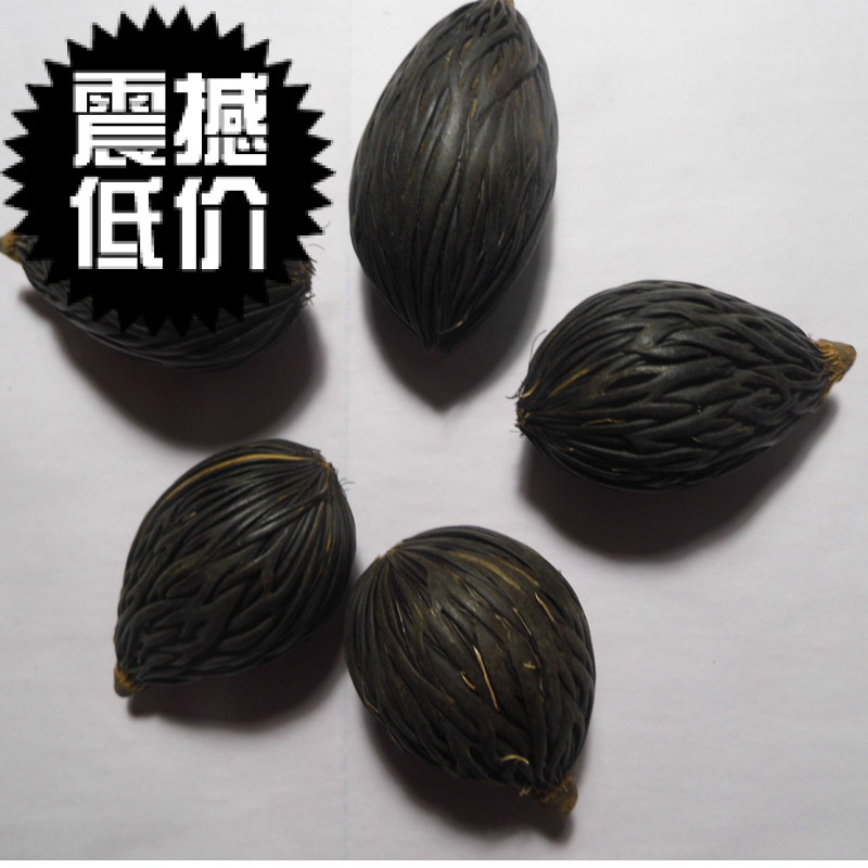 千丝菩提原籽可吊坠项链图片