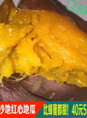 烟薯25地瓜 甜地瓜 红薯 红心地瓜 沙地地瓜 比蜜甜的地瓜一份5斤