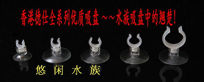 香港德仕Dazs 全规格 优质细叉位吸盘 固定气管水管二氧化碳吸盘