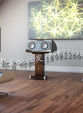 瑞典XTZ/名韵Divine100.33XTZ 旗舰级HI-END中置音 书架式音响箱