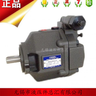 原装台湾油研YUKEN柱塞泵AR16-FR01B-22 AR16-FR01C-20原装正品