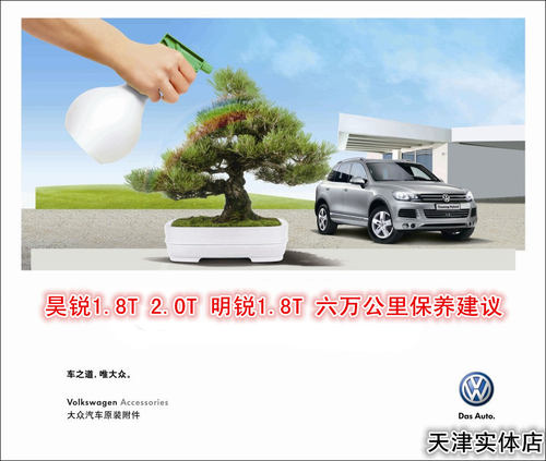 途昂 辉昂 迈腾 途观L新帕萨特  明锐 三万 六万公里 大保养 大保