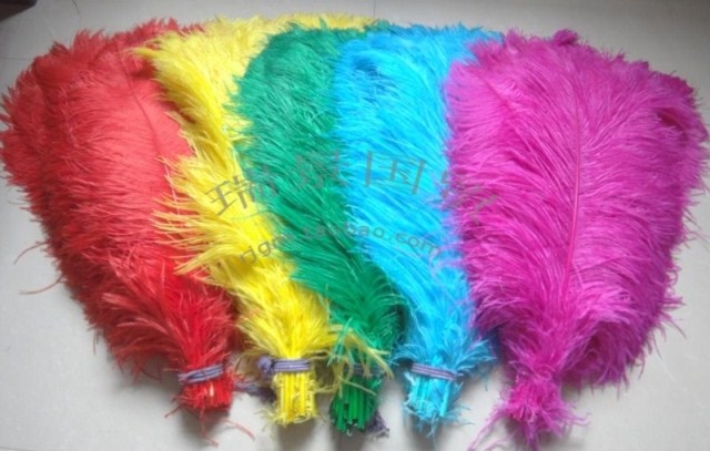 鸵鸟毛瑞景国贸鸵鸟羽毛