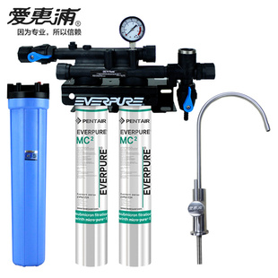 爱惠浦双机头MC2净水器，制冰机，咖啡机，奶茶机等商用