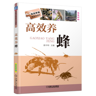 双色印刷 蜂病防治技术书籍 高效养蜂技术大全书籍 蜜蜂良种繁殖 蜜蜂授粉教程科学饲养蜂 养殖蜜蜂指南 高效养蜂