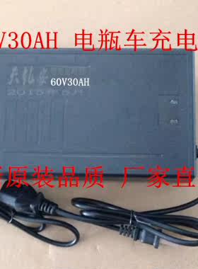 包邮！智能大功率电动电瓶车充电器60V30AH德文富士达新马本铃