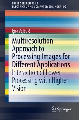 【预订】Multiresolution Approach to Processi...
