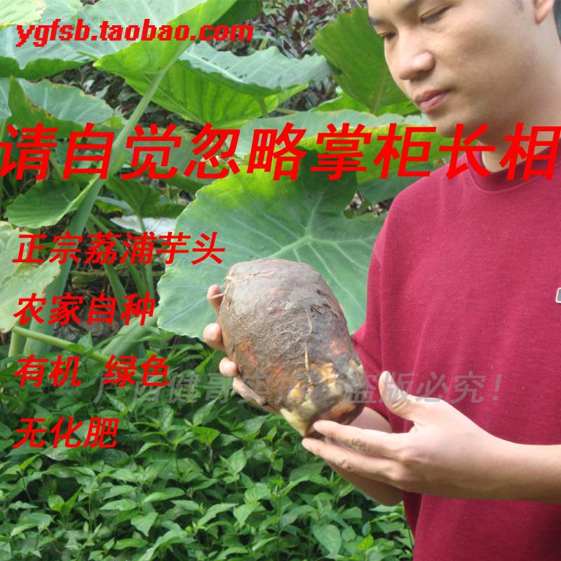 广西正宗荔浦芋头仙槟榔芋毛芋香芋纯绿色农家自种新鲜蔬菜5斤装