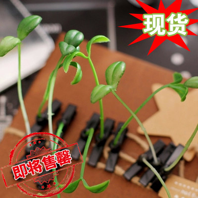 Accessoire cheveux en autre - Ref 1209119 Image 1