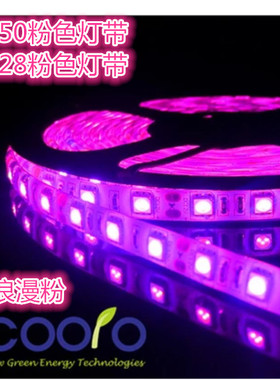 led灯带3528 12v 5050粉色灯带粉紫色滴胶防水LED浪漫粉红灯带