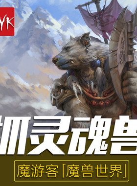魔兽世界代练灵魂兽代抓捉宝宝大角逐日洛卡纳哈魔刃豹布尔维克