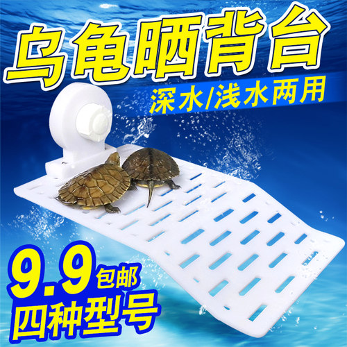 晒台爬梯乌龟缸水路缸造景爬坡巴西黄头猪鼻龟小乌龟爬台爬坡