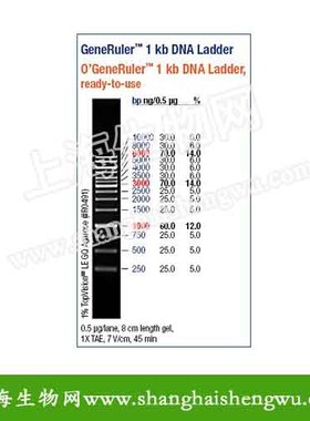 DL10000 50T 250ul DNA Marker Fermentas分装 R04042 核酸电泳