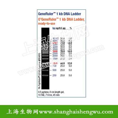 DL10000 50T 250ul DNA Marker Fermentas分装 R04042 核酸电泳