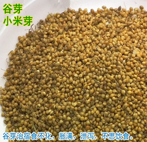 中药材 谷芽 生谷芽 小米芽 消食和中 健pi 脾开胃500克 另有稻芽