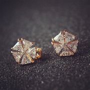 Korea fashion wild-Stud female stars 925 Tremella pin earrings are hypoallergenic ear jewelry