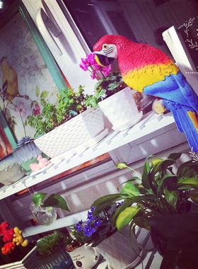 树脂仿真金刚鹦鹉花园鸟类装饰品
