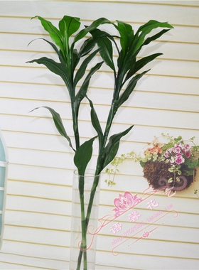 富贵竹田园乡村房间绿植装饰花