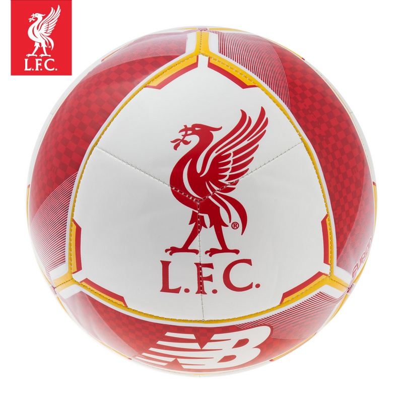 Ballon de foot - Ref 7704 Image 1