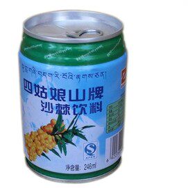 满5包邮四川阿坝小金特产四姑娘山牌沙棘果汁听装拉罐装饮料246ml - 封面