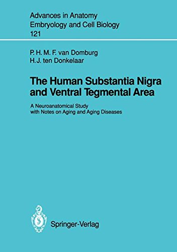 【预订】The Human Substantia Nigra and Ventr...
