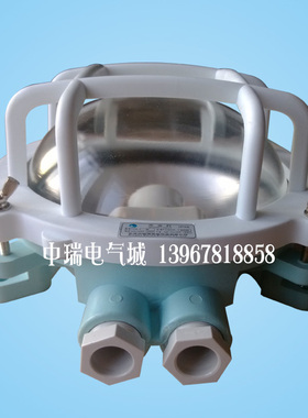 船用水密白炽作业灯 W 防水合成树脂吸顶灯220V60W国际代码792066