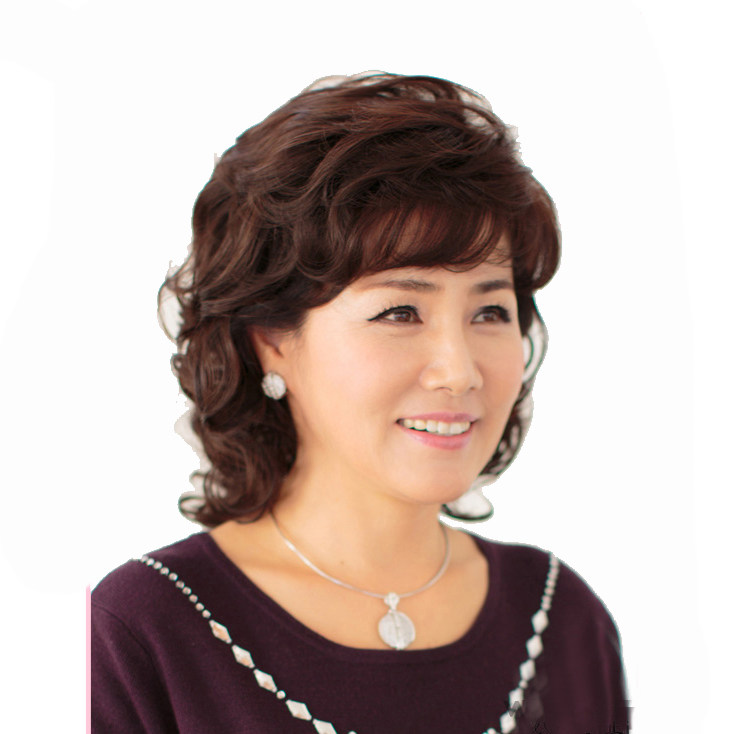 Perruque OTHER   Les cheveux longs - Ref 2609955 Image 1