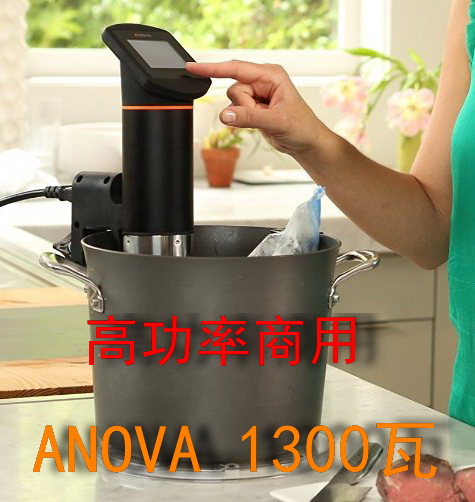 美国ANOVA ONE低温慢煮烹饪机 分子料理餐厅酒店商用高功率1300瓦