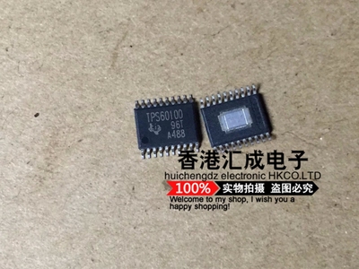 TPS60100PWPR TPS60100PWP TPS60100 HTSSOP20 全新原装