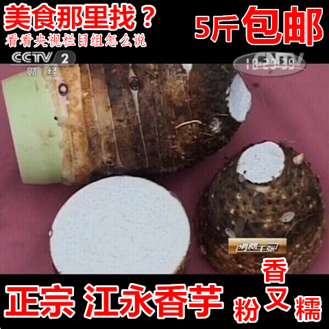 正宗江永香芋湖南特产荔浦