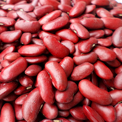 山西特产农家大长红豆 500g五谷杂粮红腰豆大豆红芸豆低脂豆类拍