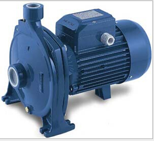 佩德罗CPm150水泵 PEDROLLO油泵