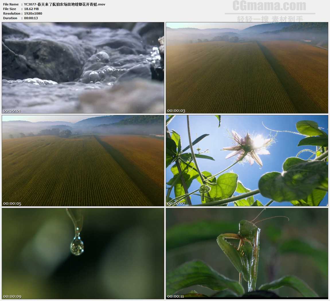 春天来了航拍农场田地螳螂花开青蛙高清实拍视频素材