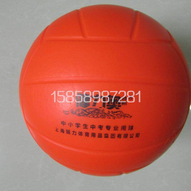 Ballon de volley-ball - Ref 2012517 Image 1