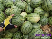 Gants pour vélo - Ref 2247996 Image 294