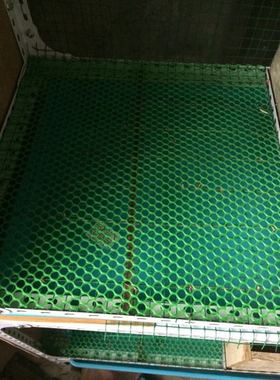 绿色塑料网垫，绿色塑料底网，绿色阳台专用防护网，绿色塑料网格