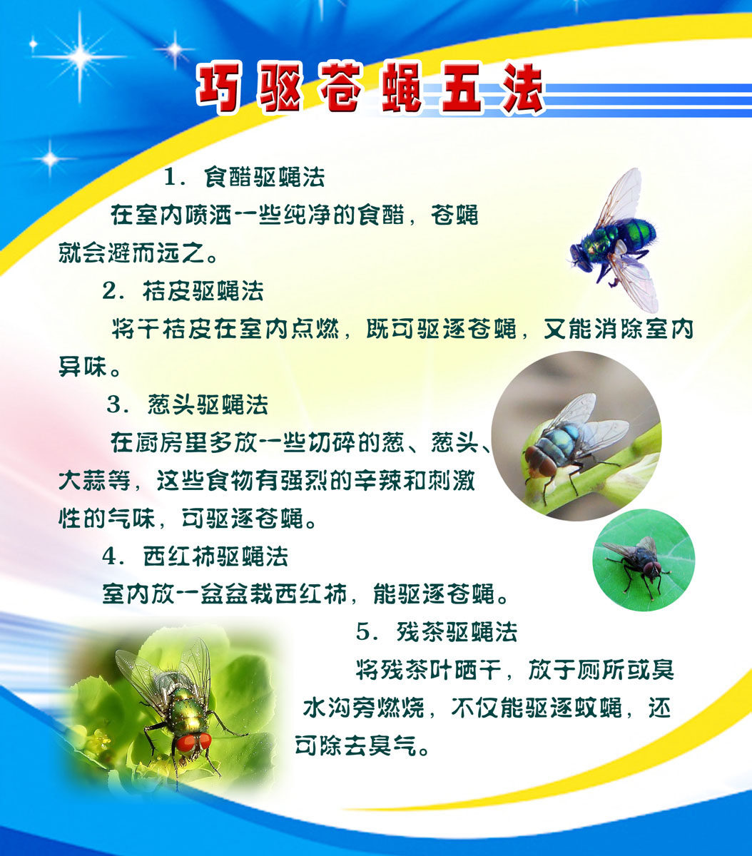 724海报印制展板写真喷绘贴纸487巧驱苍蝇五法