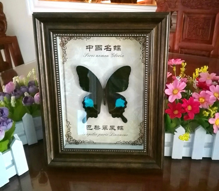 包邮 巴黎翠凤蝶2 真蝴蝶标本相框 生日元宵情人儿童节礼物 礼品在类目 家居饰品, 相框/画框中 - 来自Buy2taobao.com提供专业的淘宝代购服务