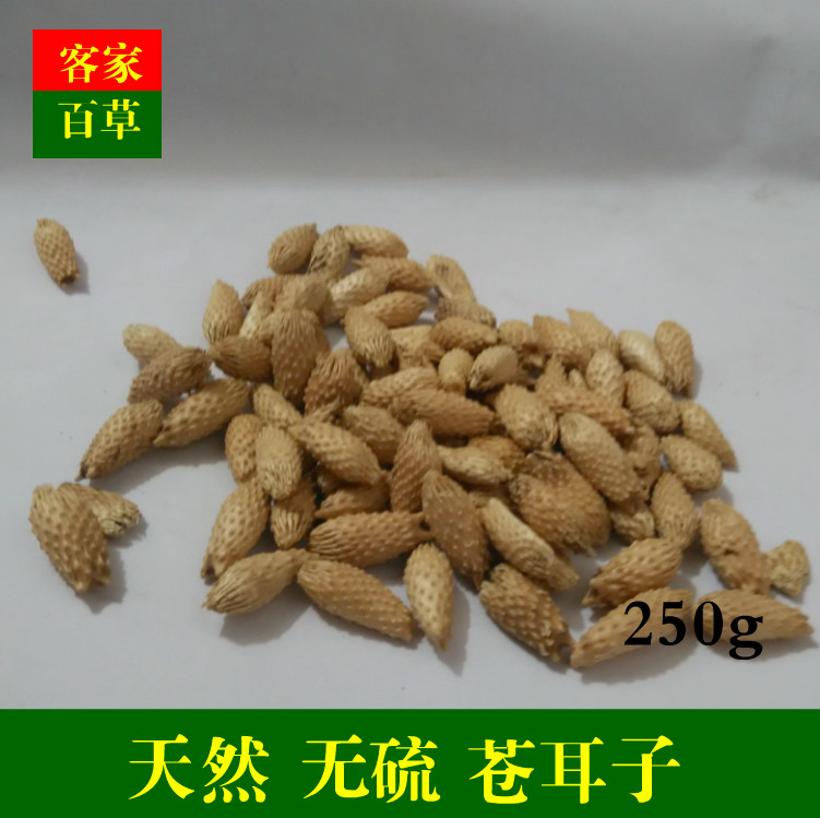 苍耳子梅州苍耳子客大妈