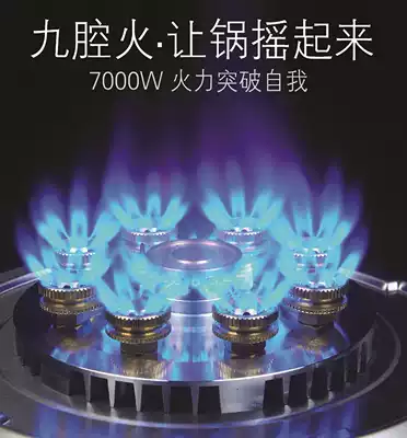 Xinjiang Jiuchenghuo gas stove energy-saving fried table embedded dual-use household apricot field 137B